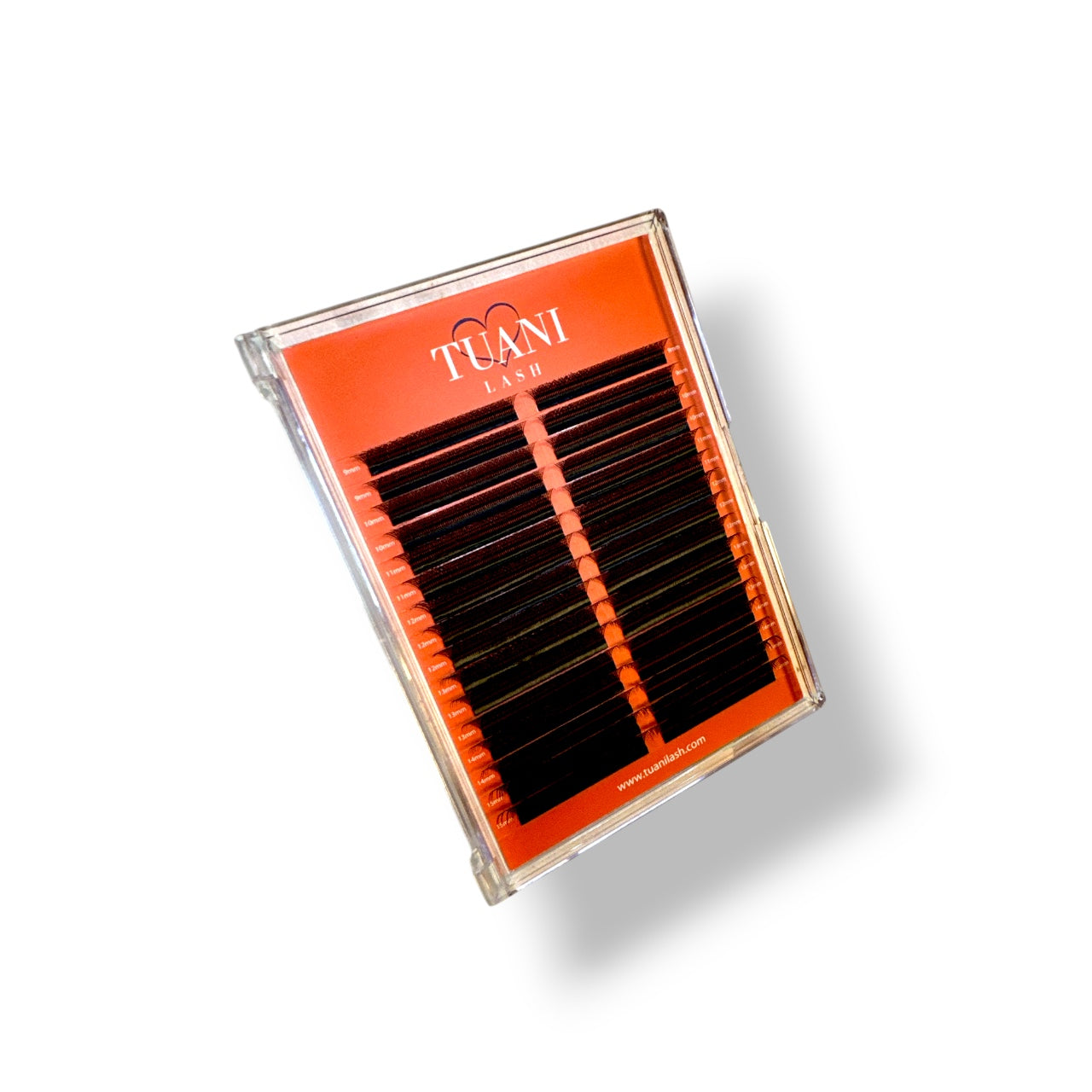 Set of 4 Boxes W Lashes