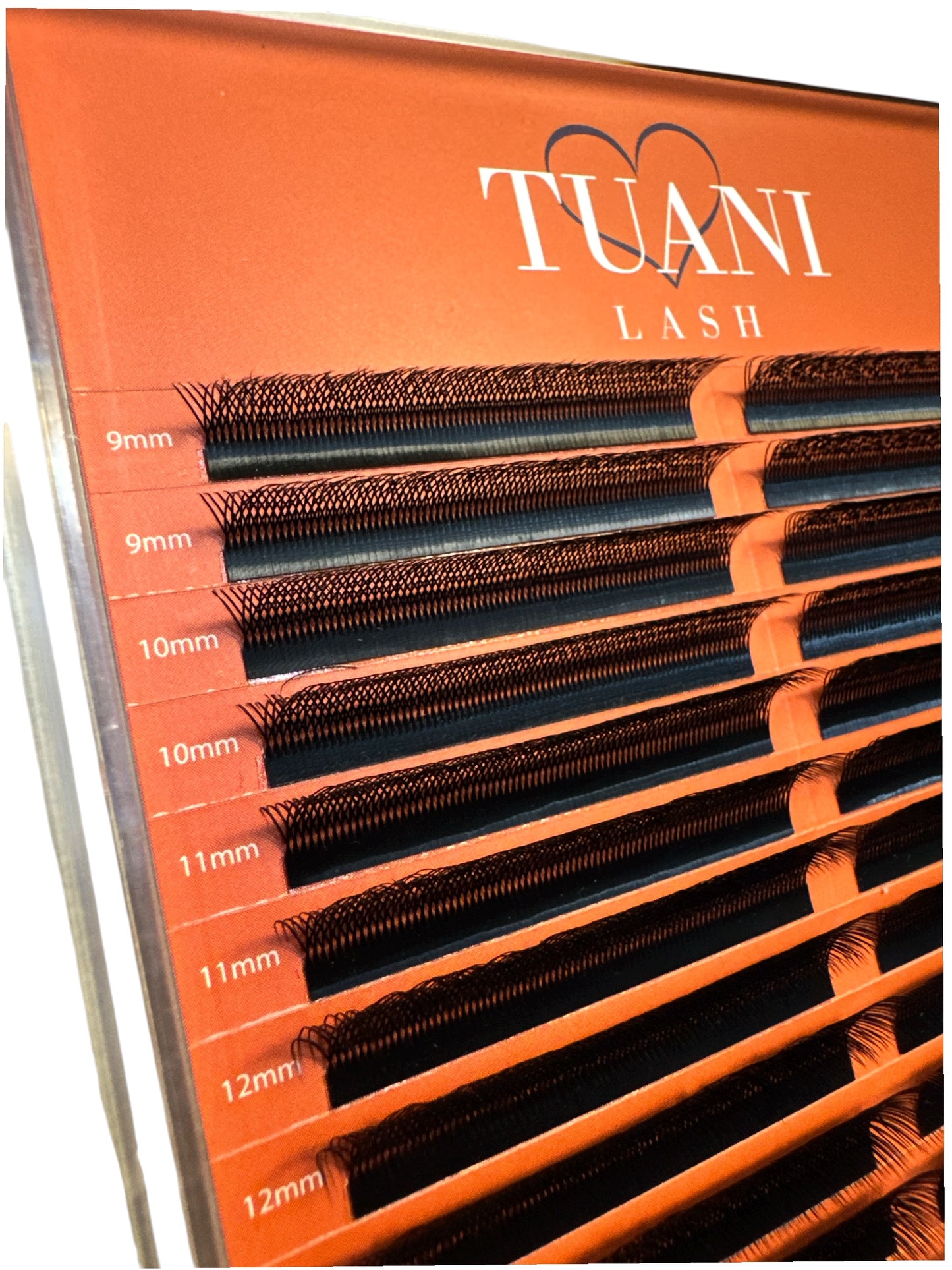 Set of 4 Boxes W Lashes